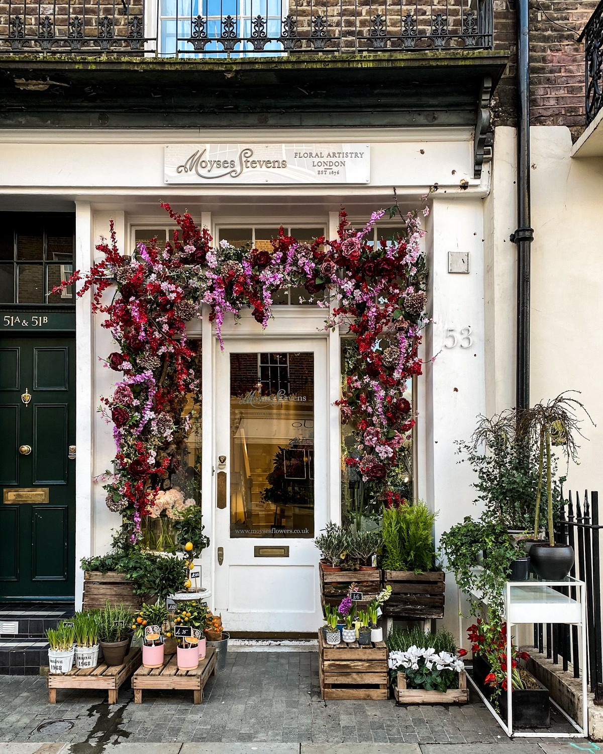 Moyses Stevens, Belgravia