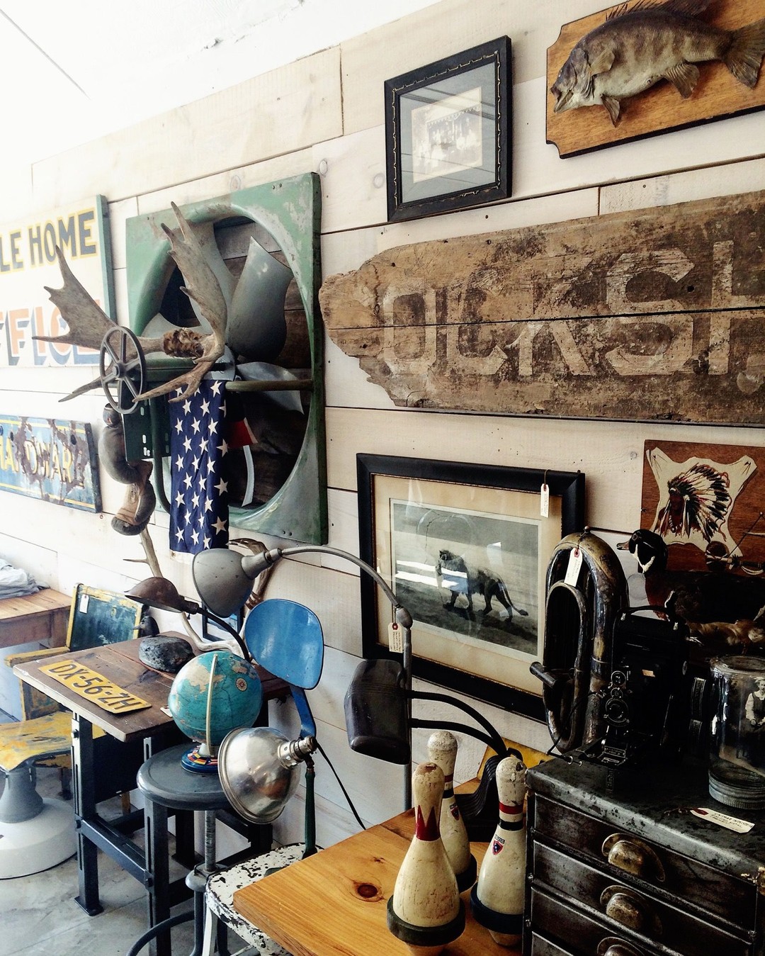 Douglas & Son, Bobcaygeon