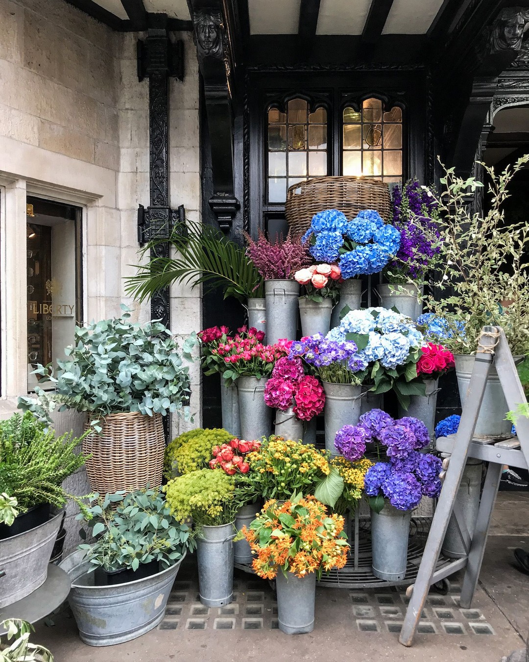 Wild at Heart, Liberty London