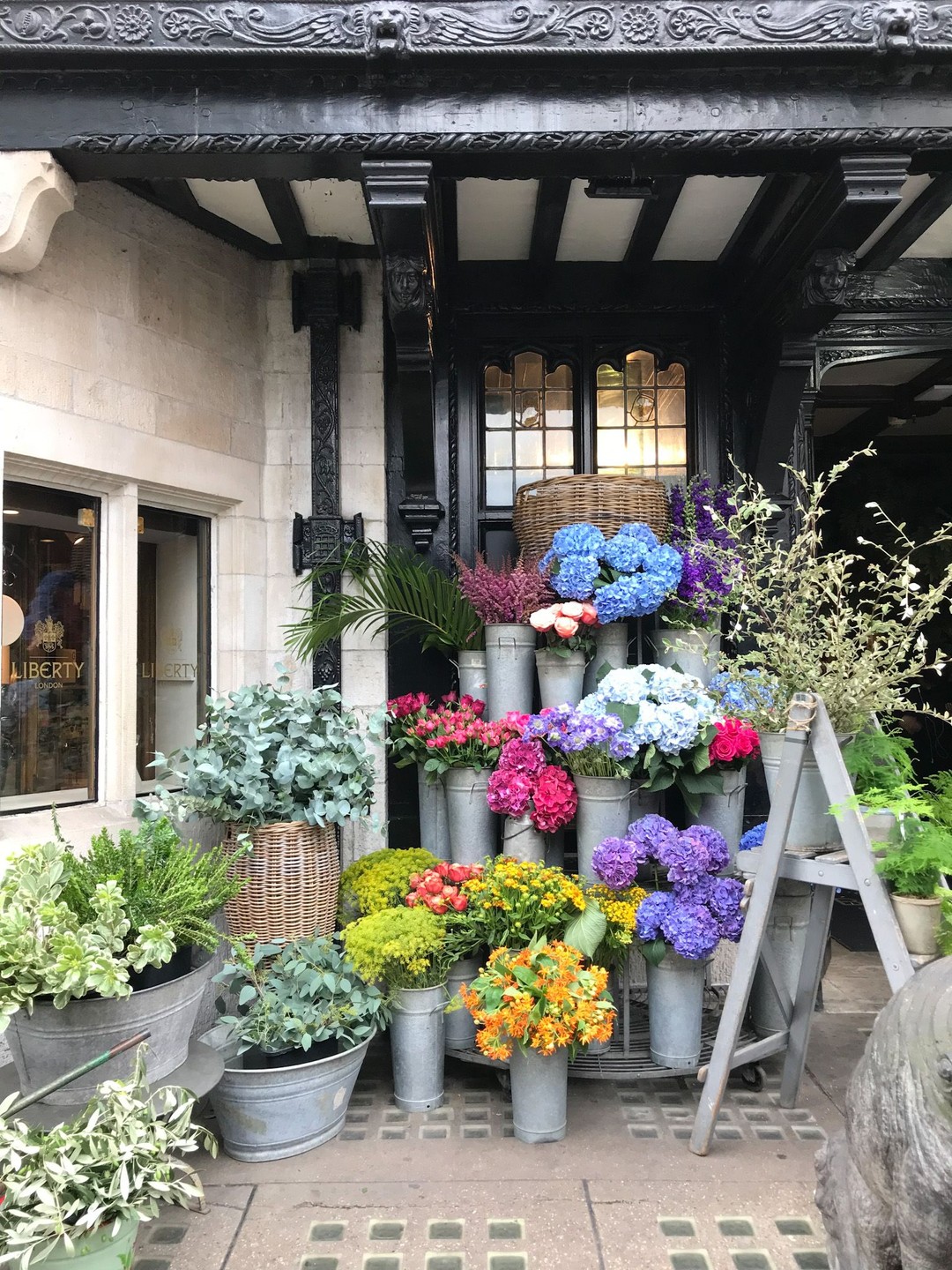Wild at Heart, Liberty London