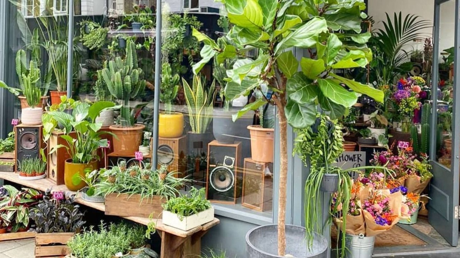 Urban Flower Company
