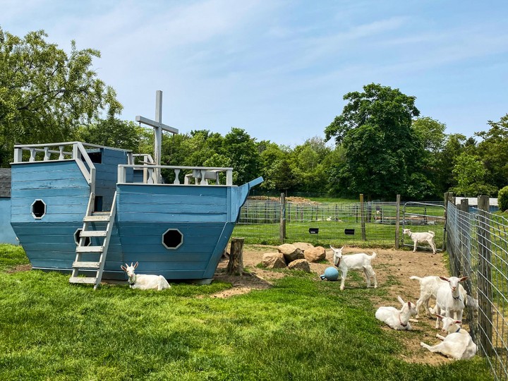Catapano Dairy Farm, North Fork