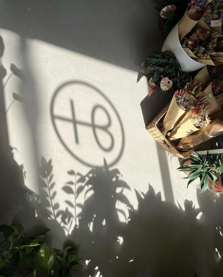 Hopeless Botanics, Dublin