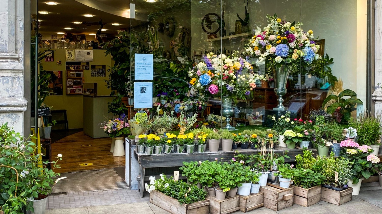 Gingko Florists
