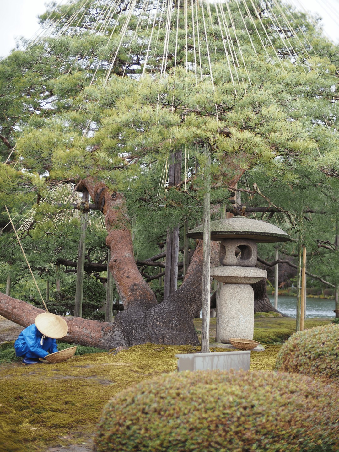 Japan Travels 12