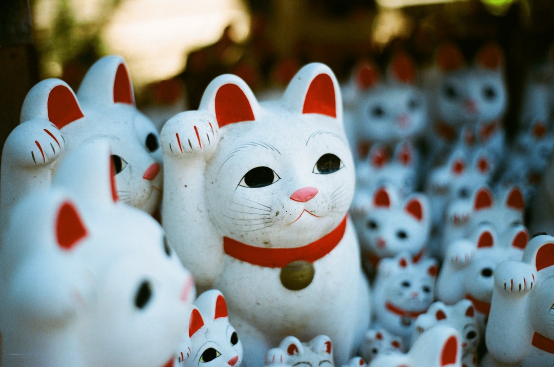 Japan Travels 2
