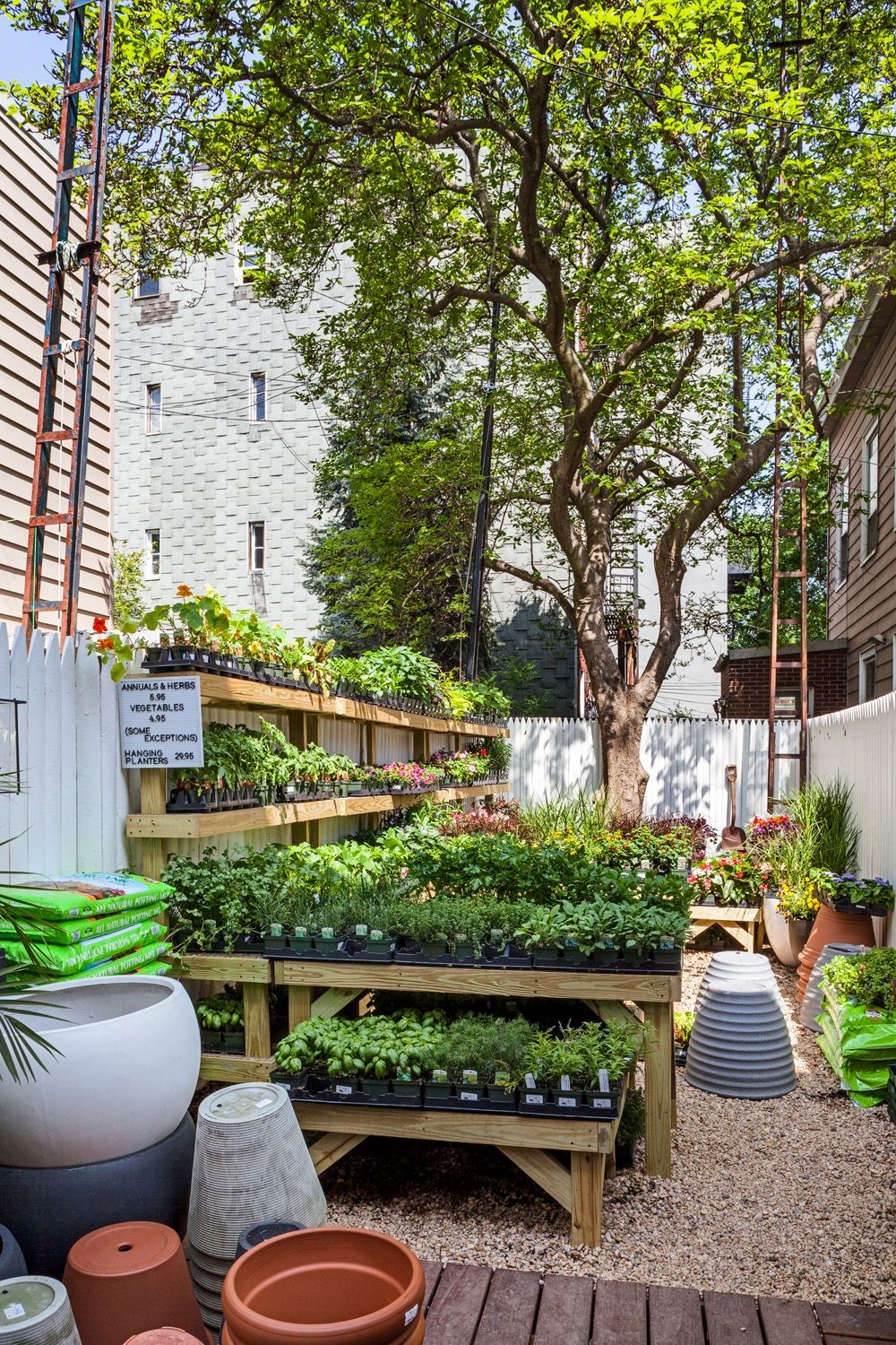 Tend, Greenpoint