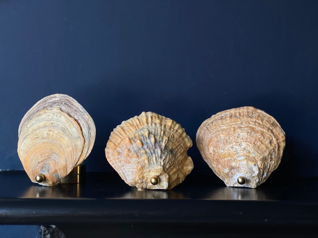 The Merchants Table, Suffolk - Norfolk Scallop Shell Tealight 