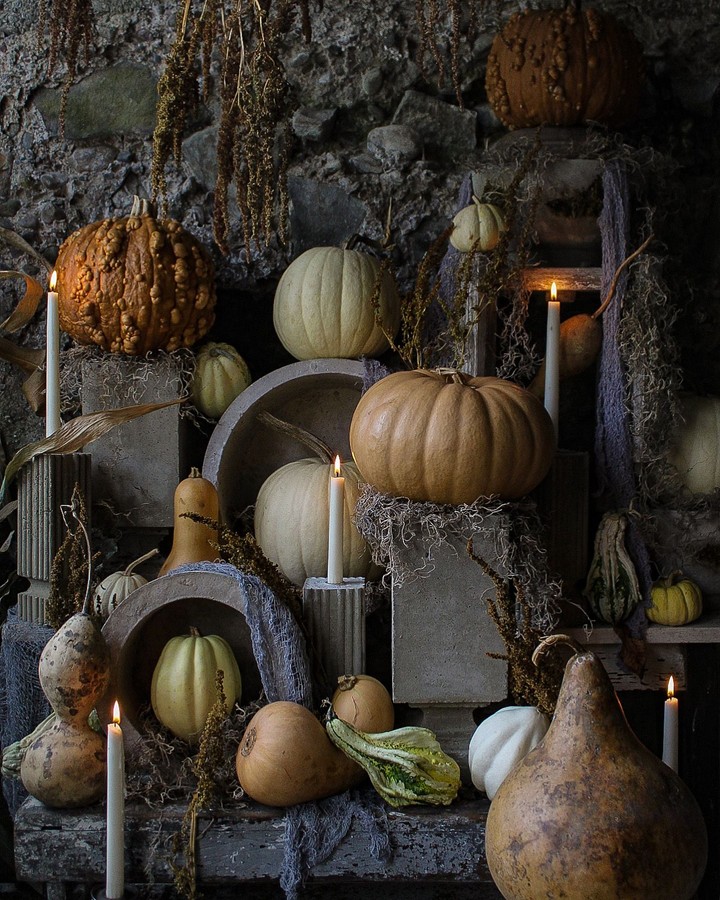 Hort & Pott, New York