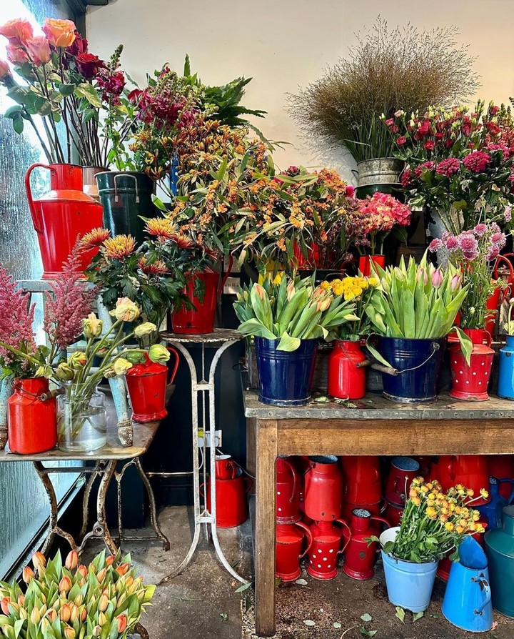 Scarlet & Violet photo by Natascha Lien Milsom @itinerarywoman