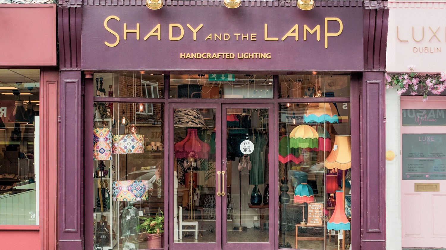 Shady and the Lamp