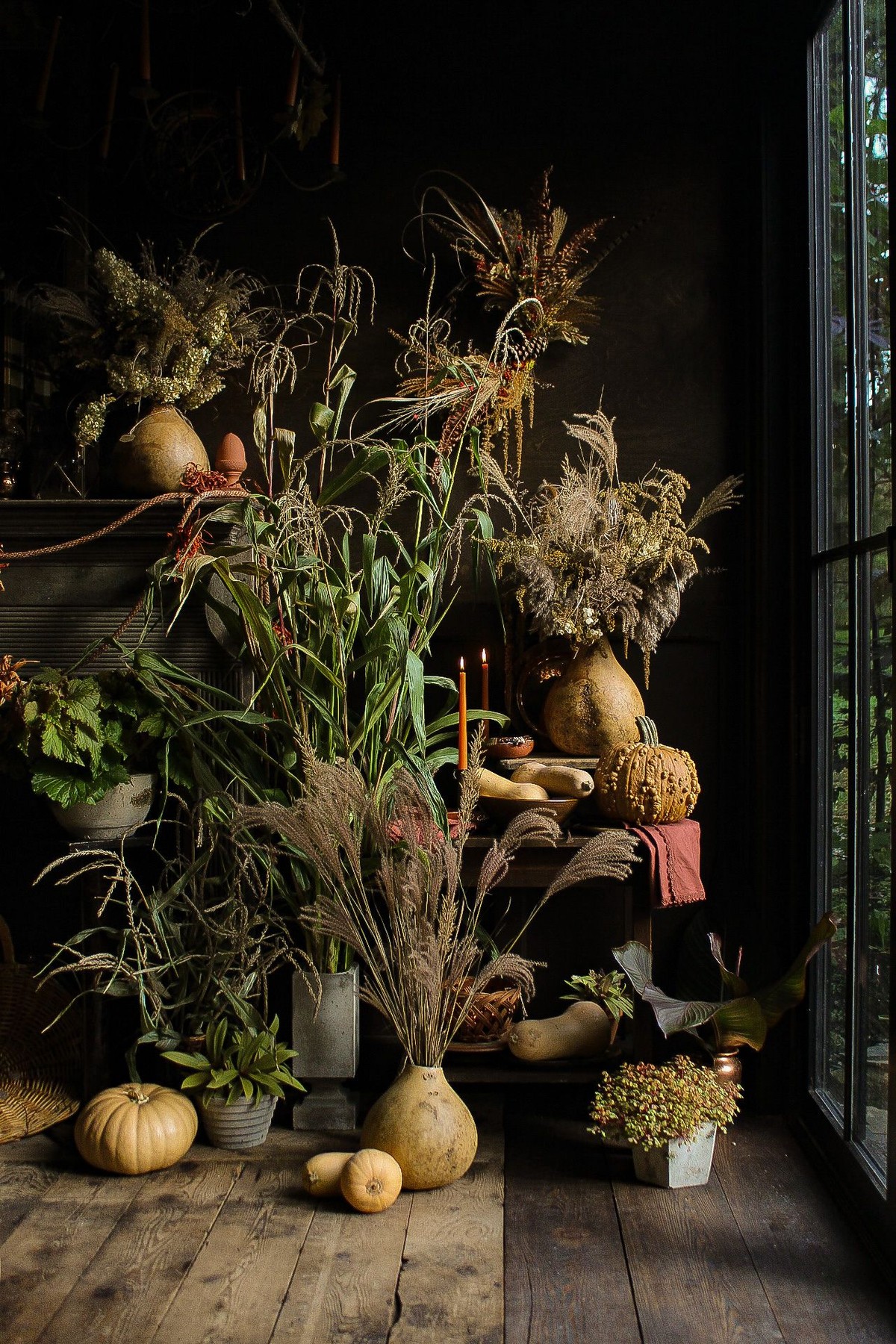 Hort & Pott, New York