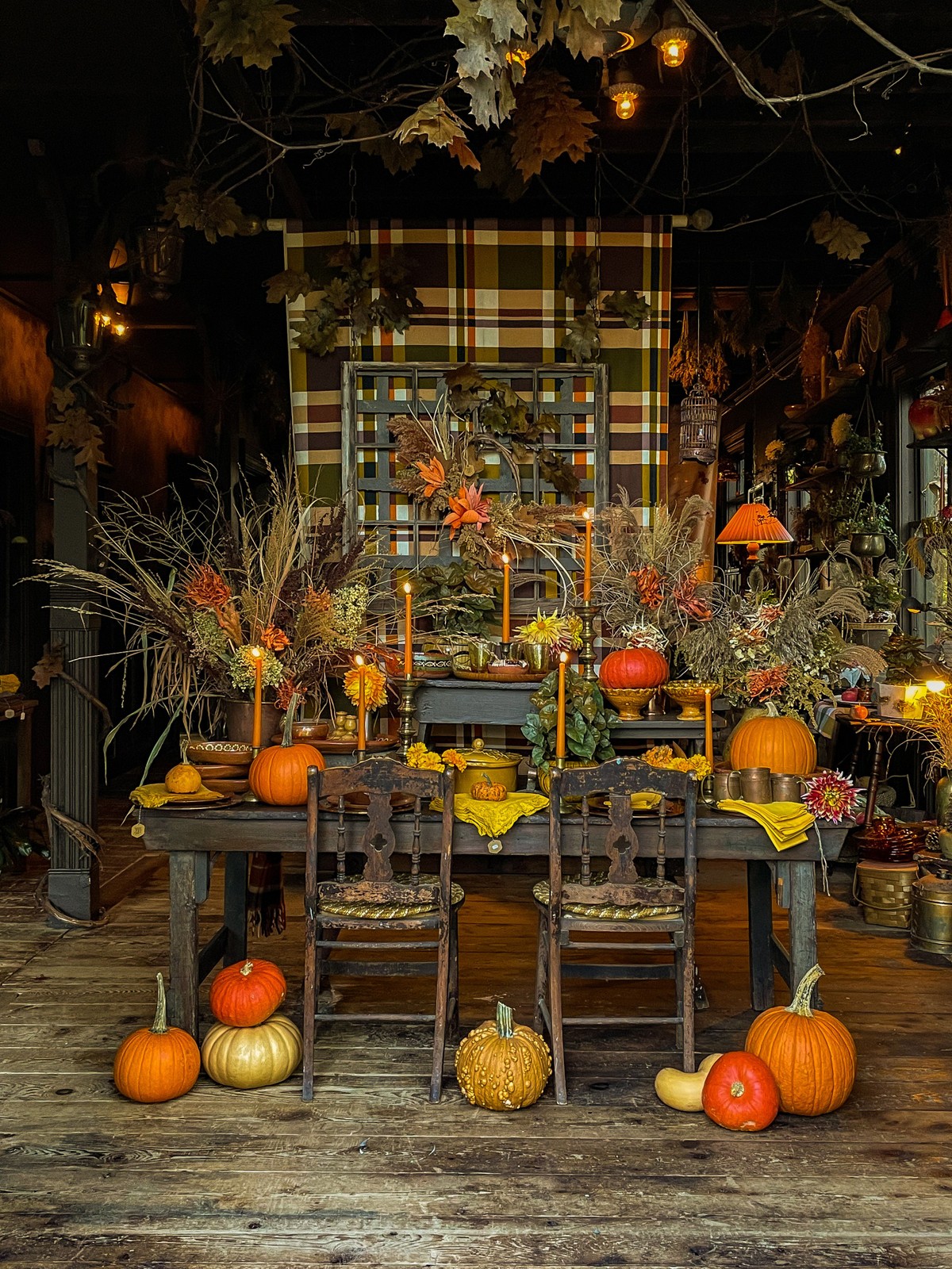 Hort & Pott, New York