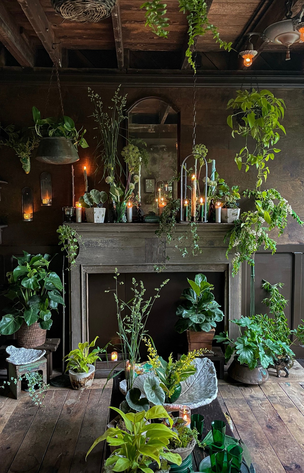 Hort & Pott, New York
