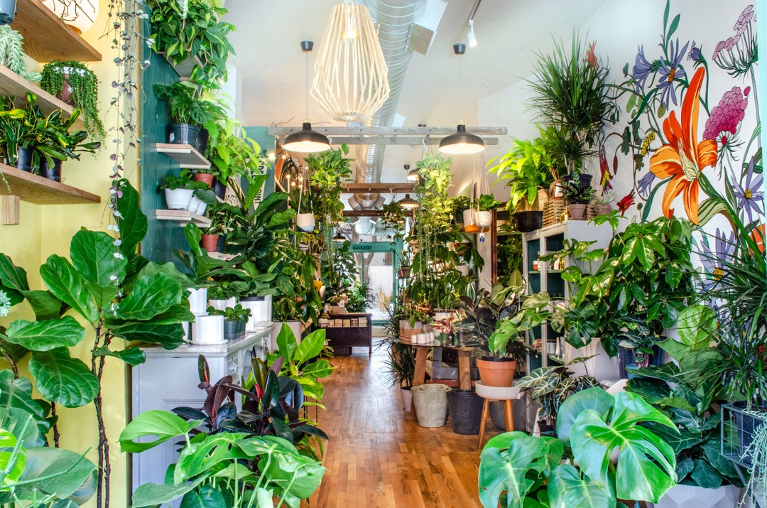 Tend, Greenpoint: Photo by Steve Viksjo 