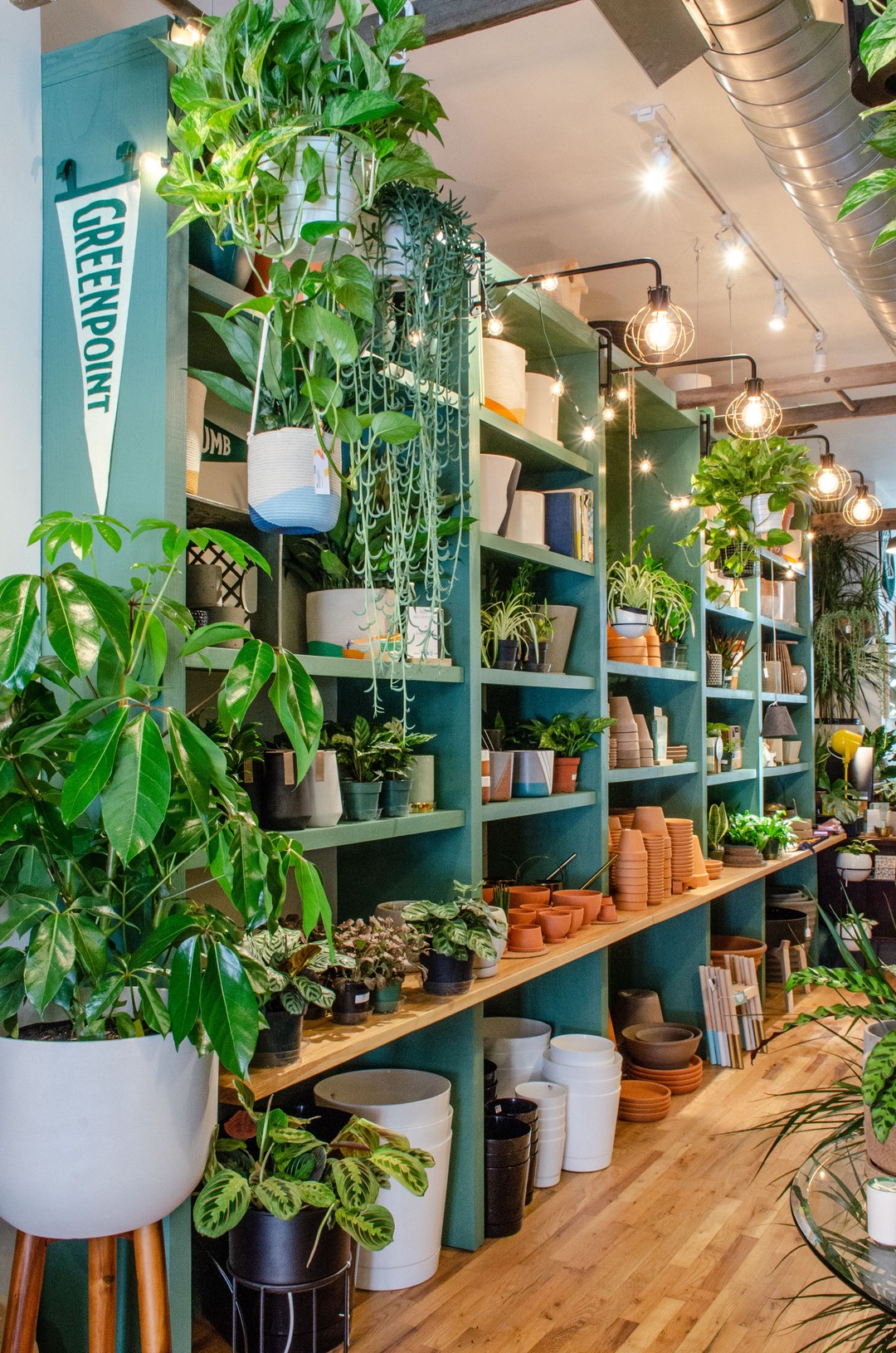 Tend, Greenpoint: Photo by Steve Viksjo