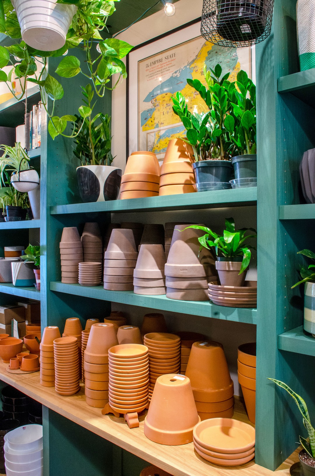Tend, Greenpoint photo by Steve Viksjo