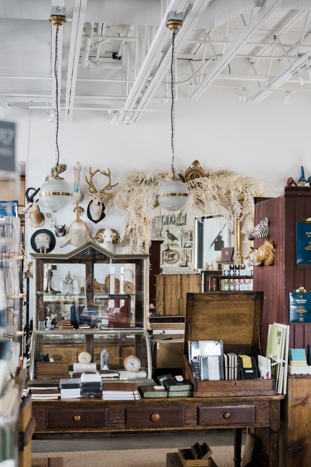 Paper and Grace, Montana