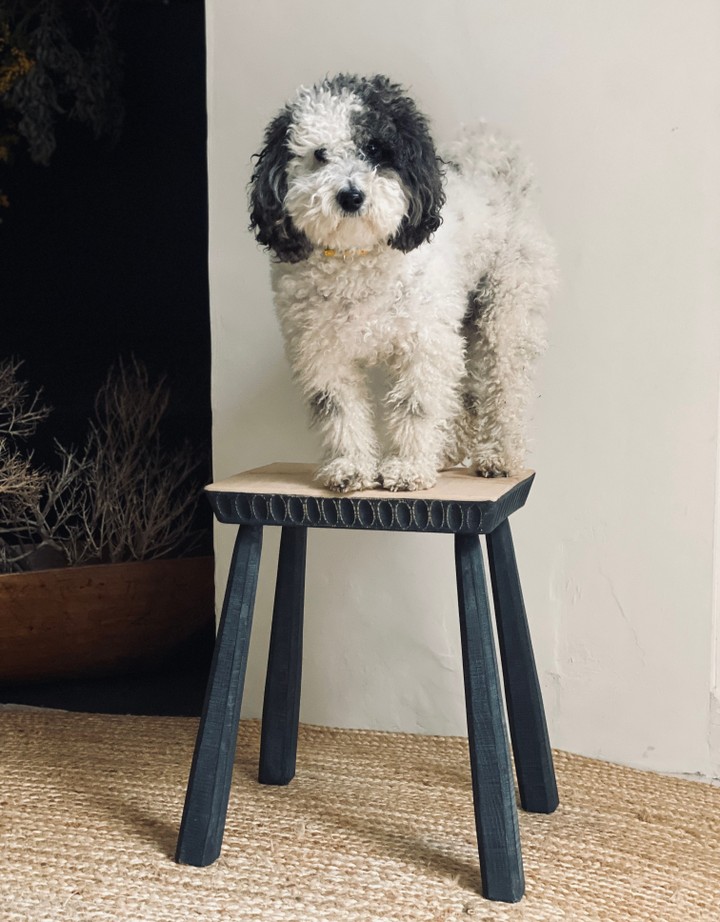 The Merchants Table, Suffolk - Jim Parsons Stool & Monty