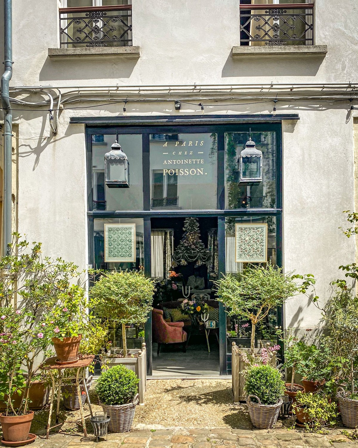 Antoinette Poisson, Paris
