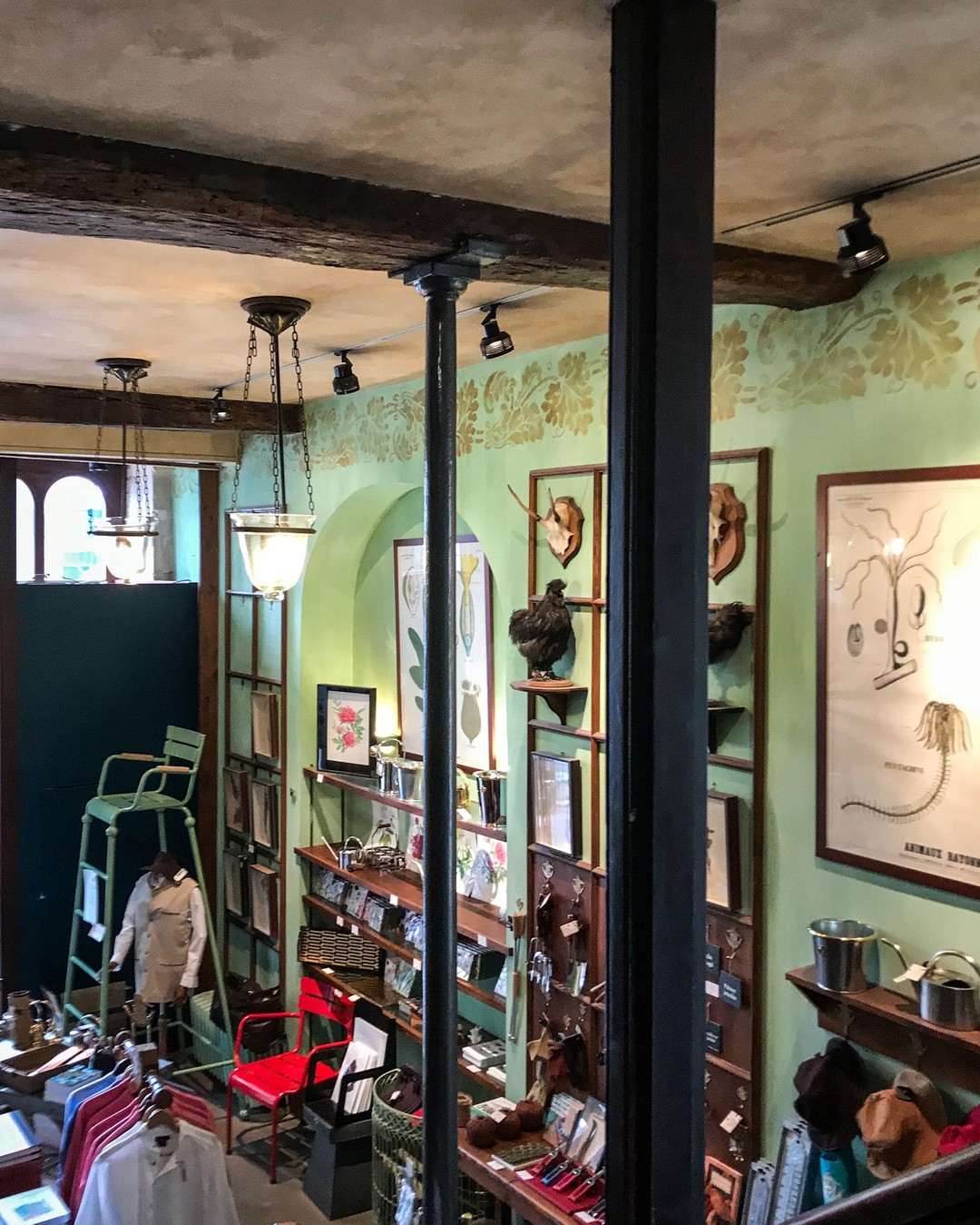 Deyrolle, Paris
