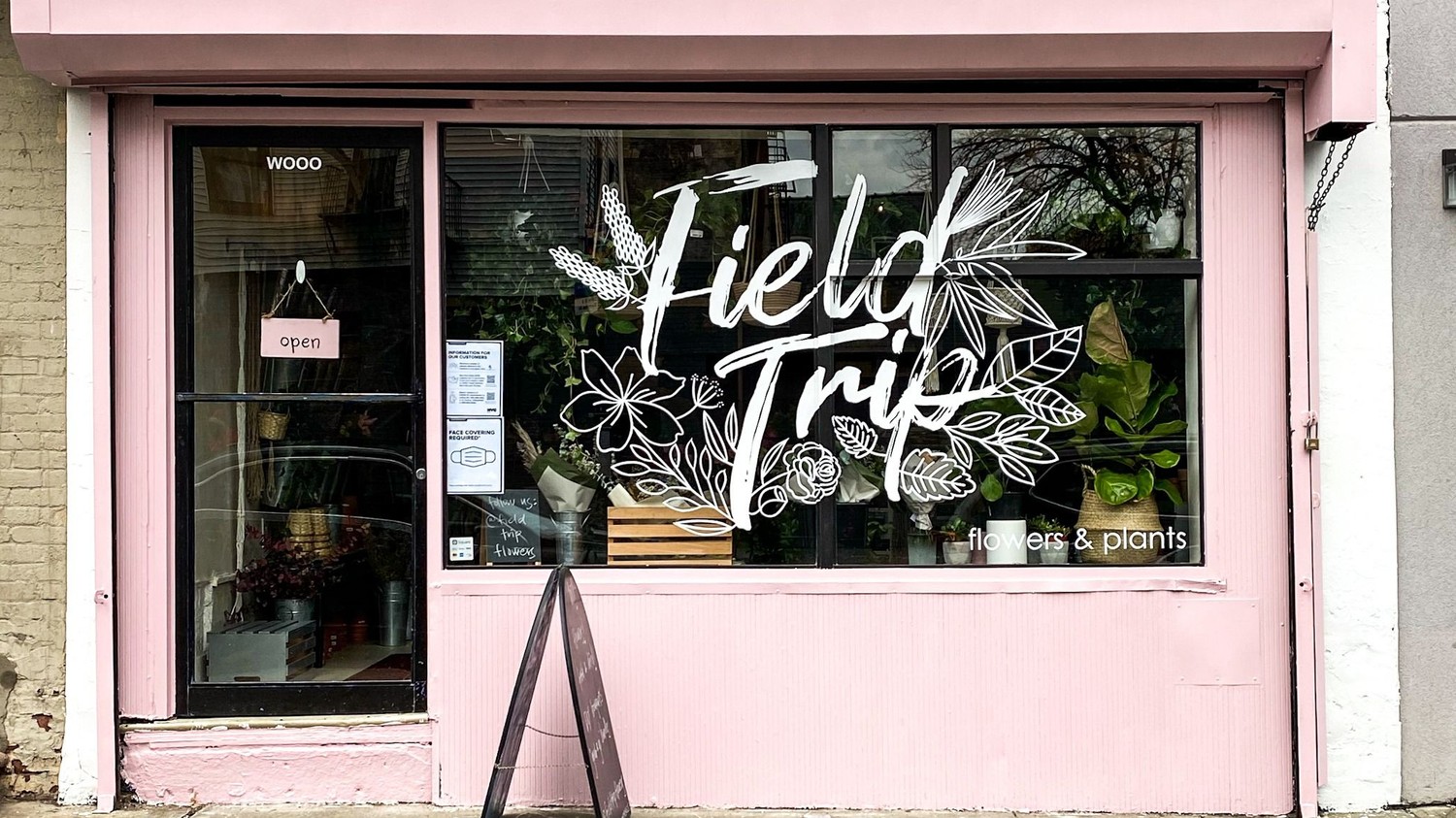 Field Trip Flowers