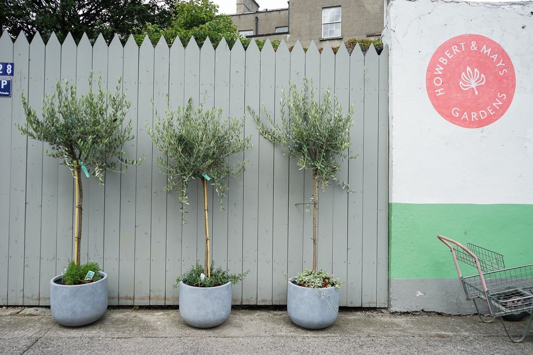 Howbert & Mays, Monkstown