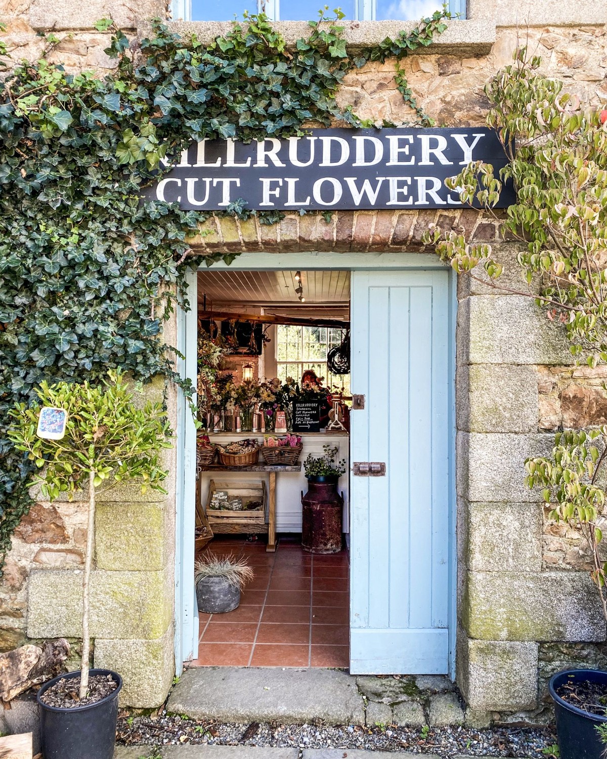 KIlruddery Flower Shop, Bray