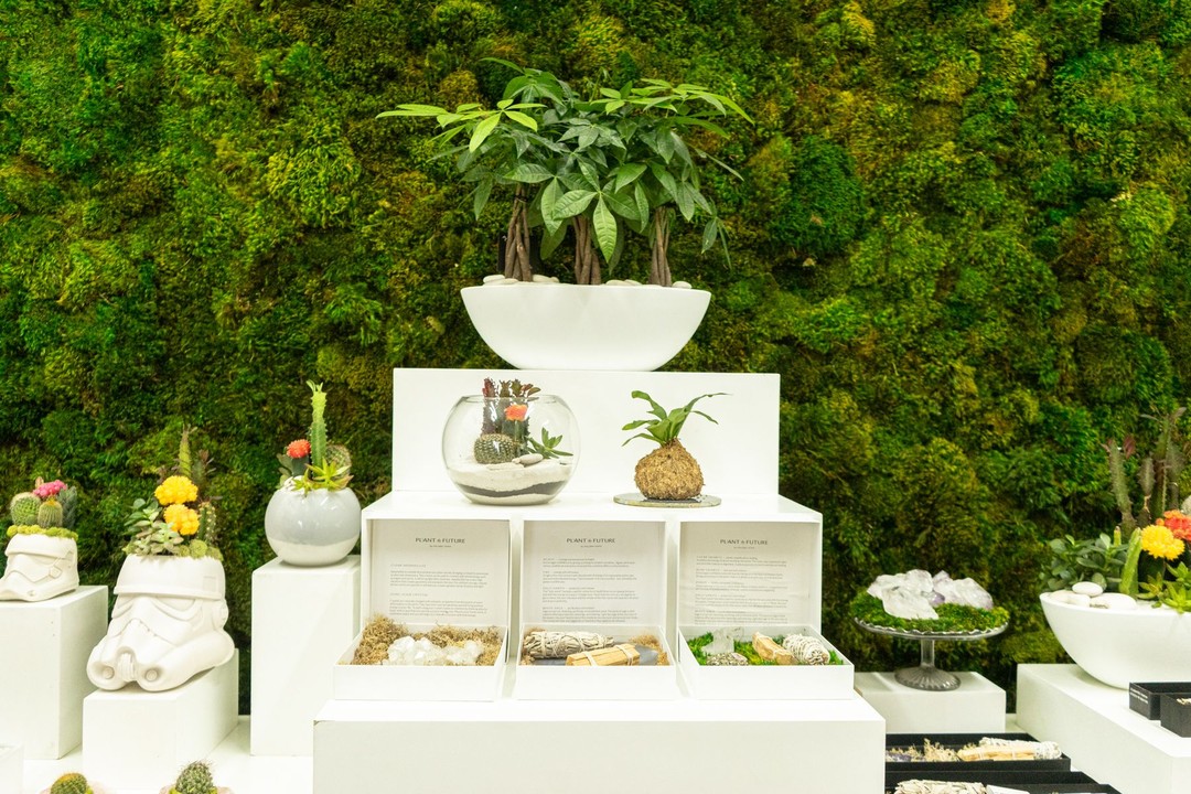 Plant the Future, Miami
