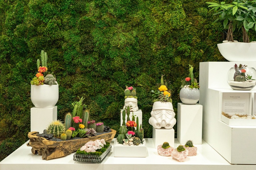 Plant the Future, Miami