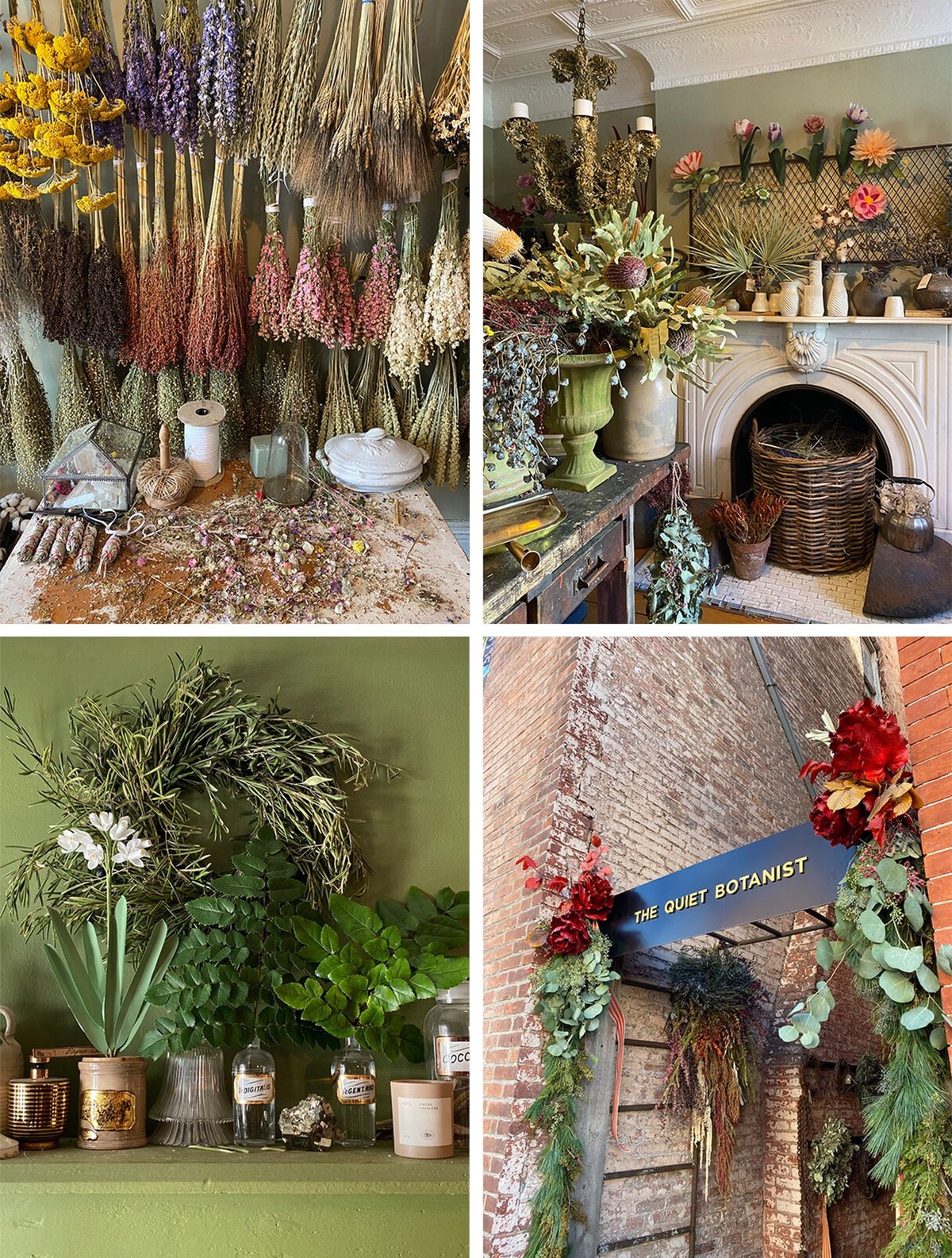 The Quiet Botanist