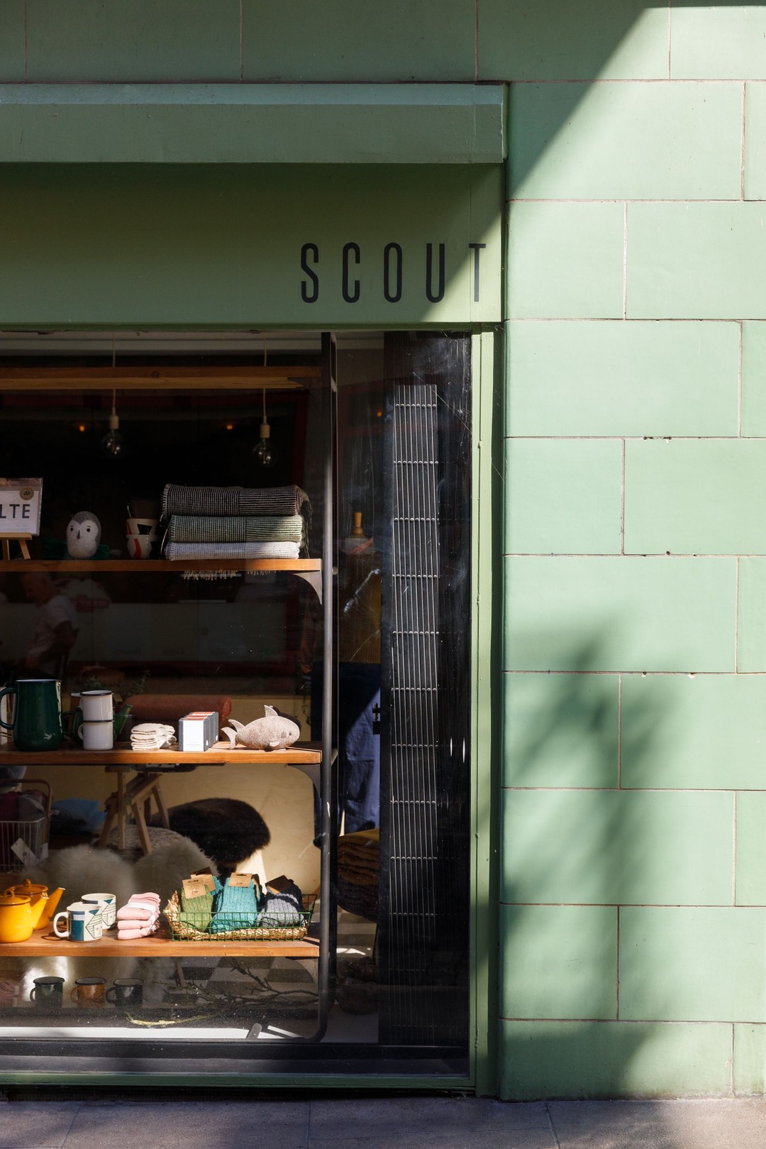 Scout, Dublin photo by Doreen Kilfeather