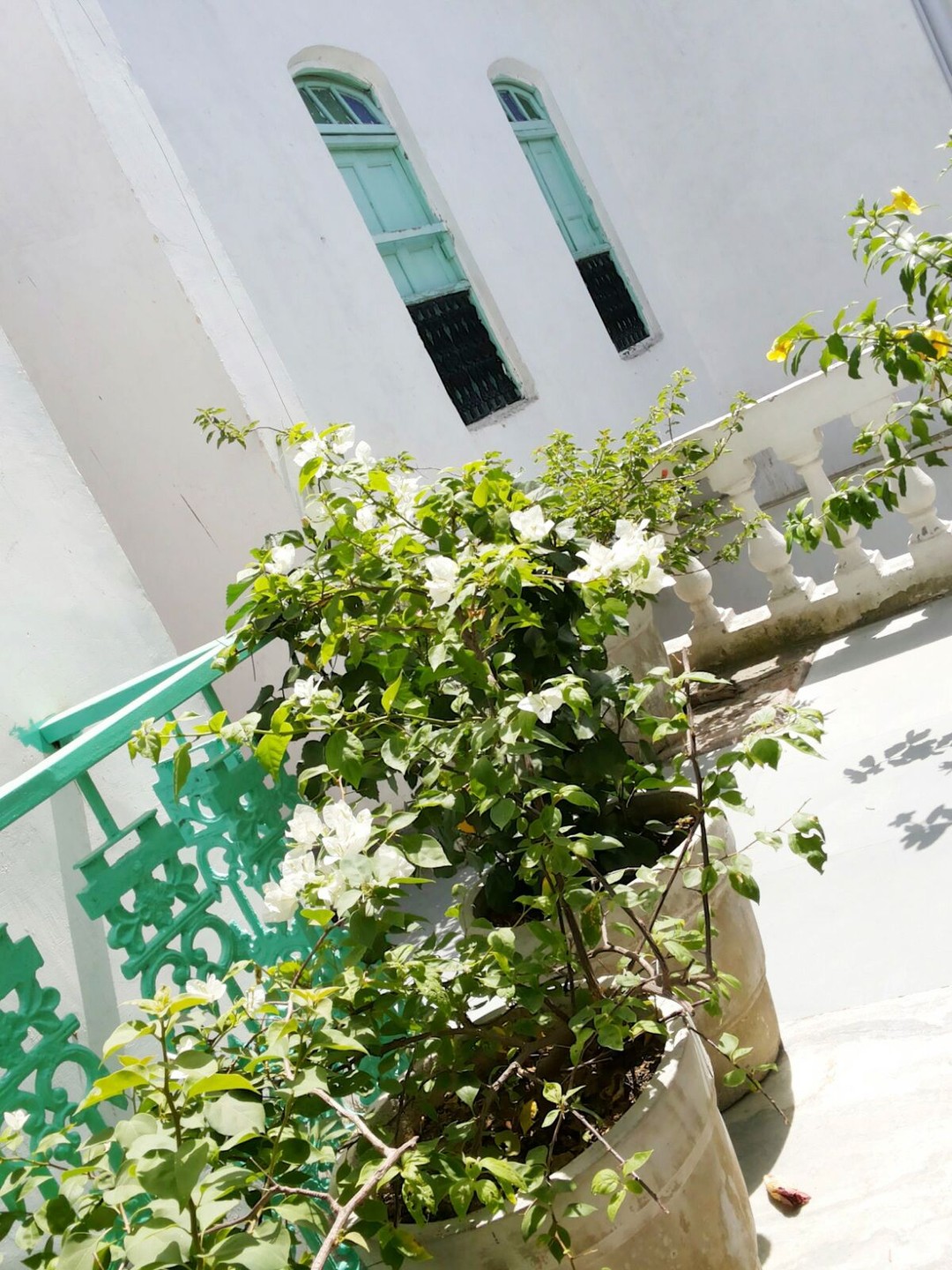 Serendipity, Delhi