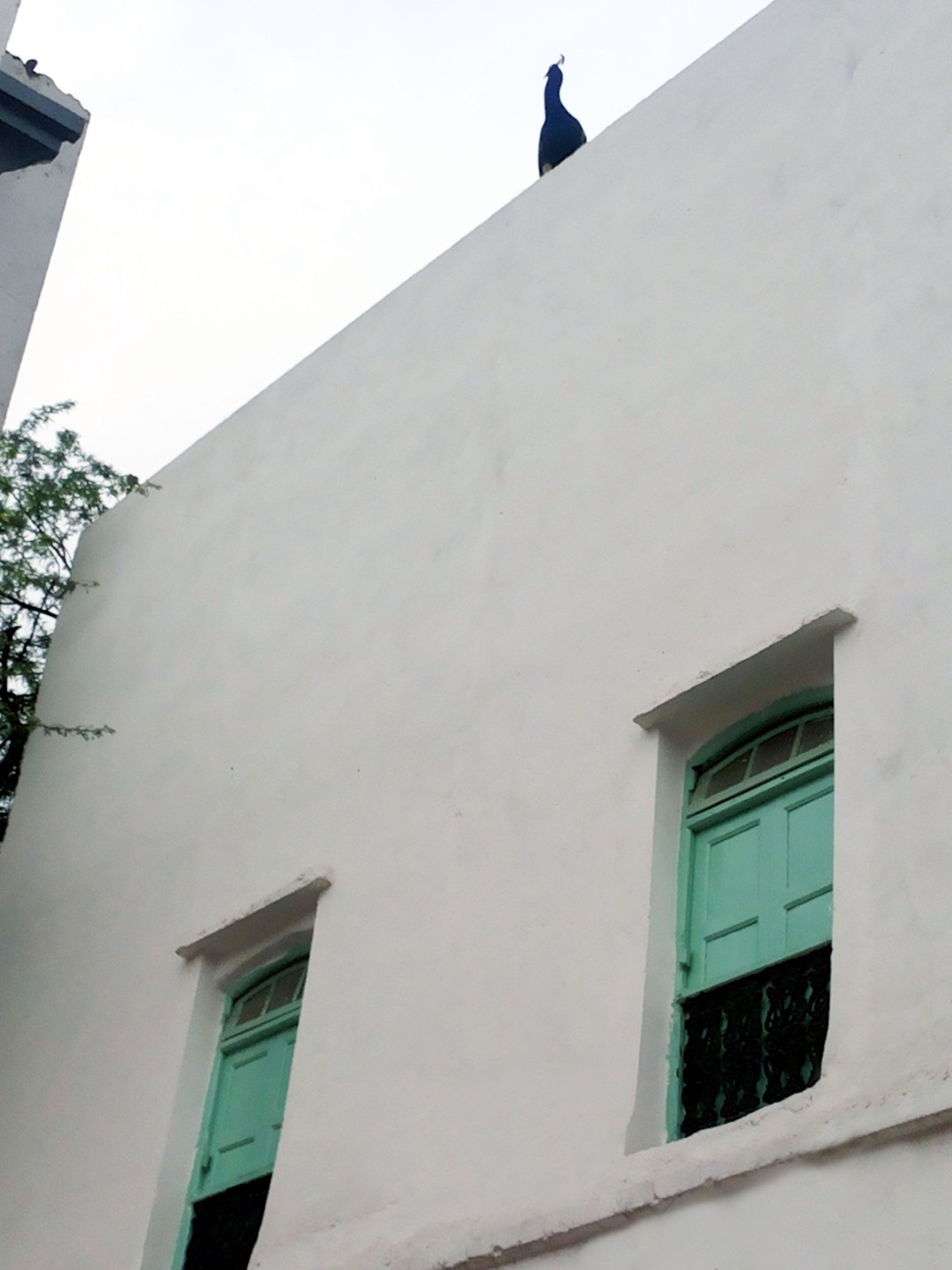Serendipity, Delhi