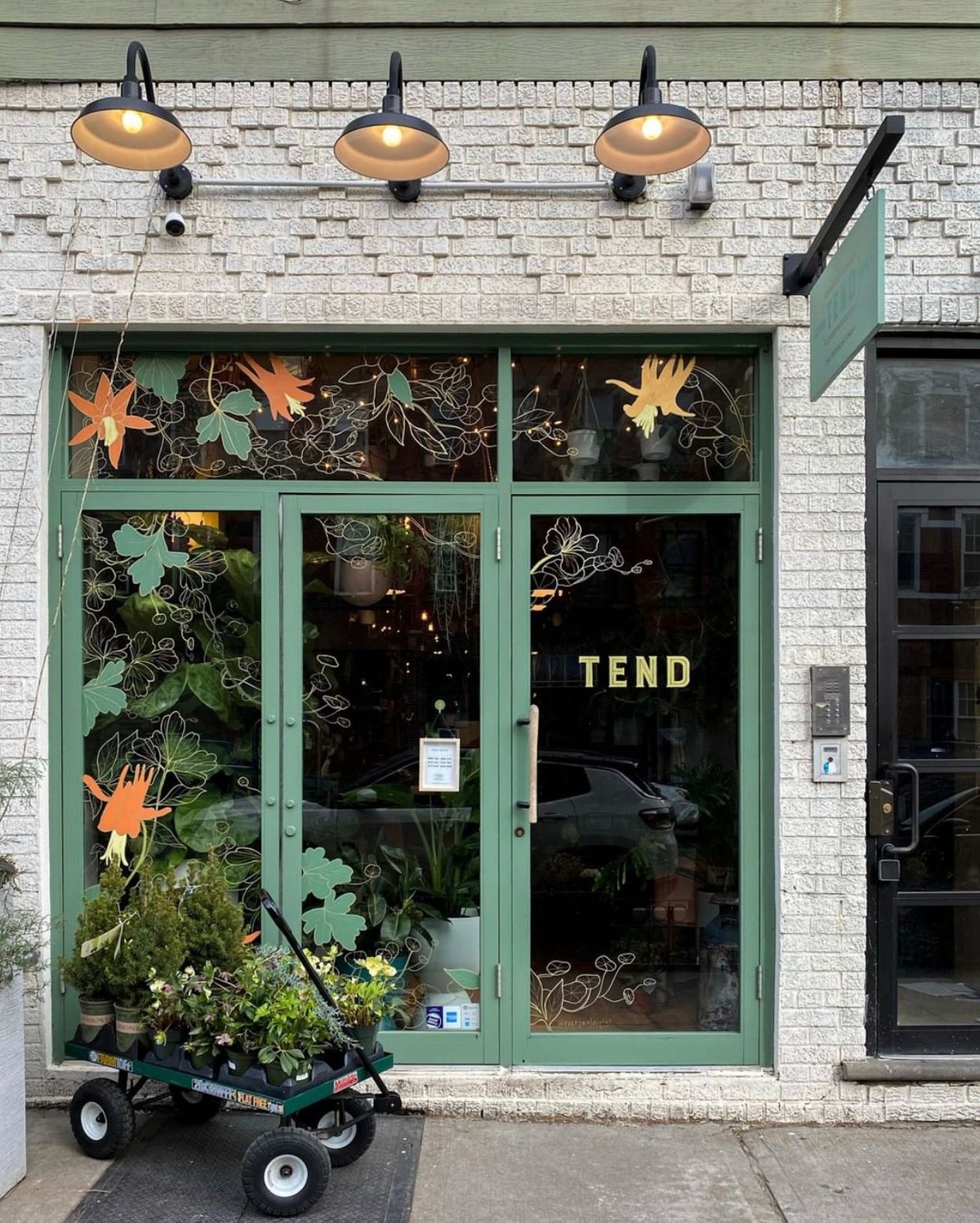 Tend, Greenpoint