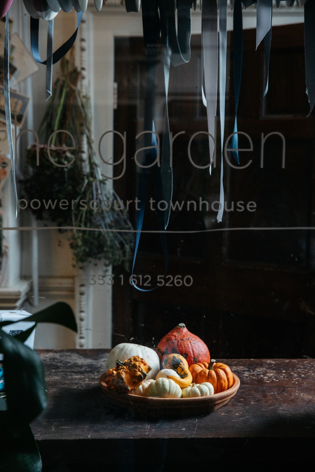 The Garden, Dublin