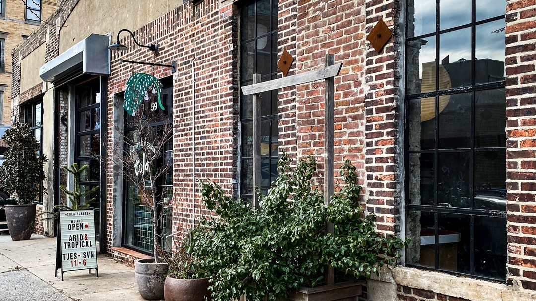 Tula House, Brooklyn