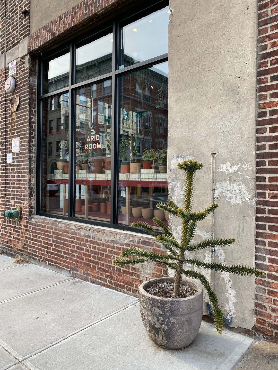 Tula House, Brooklyn