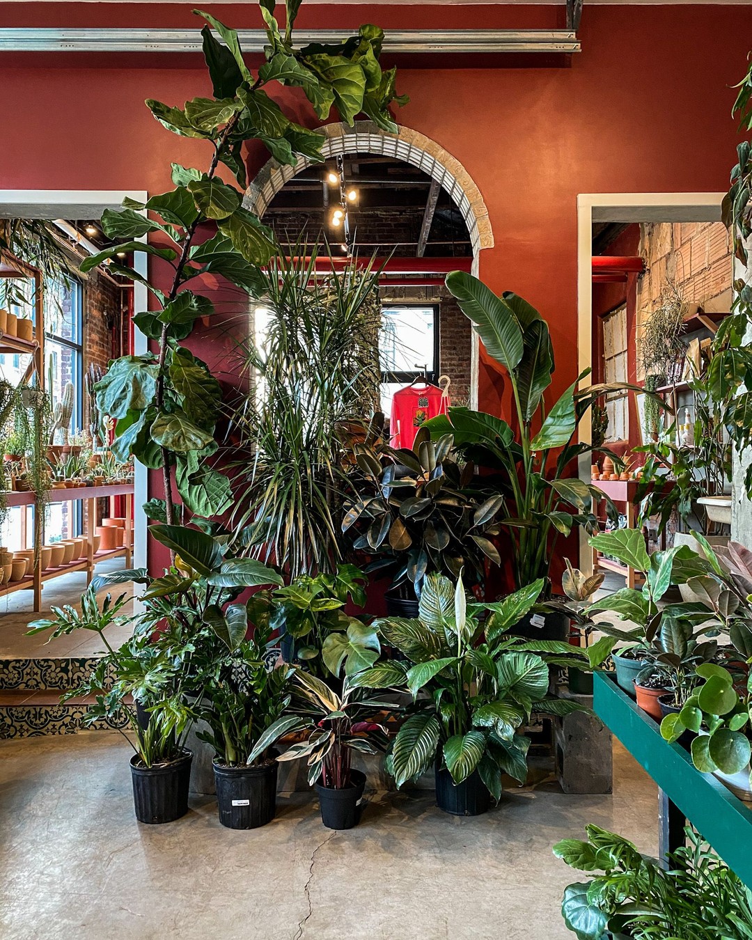 Tula House, Brooklyn