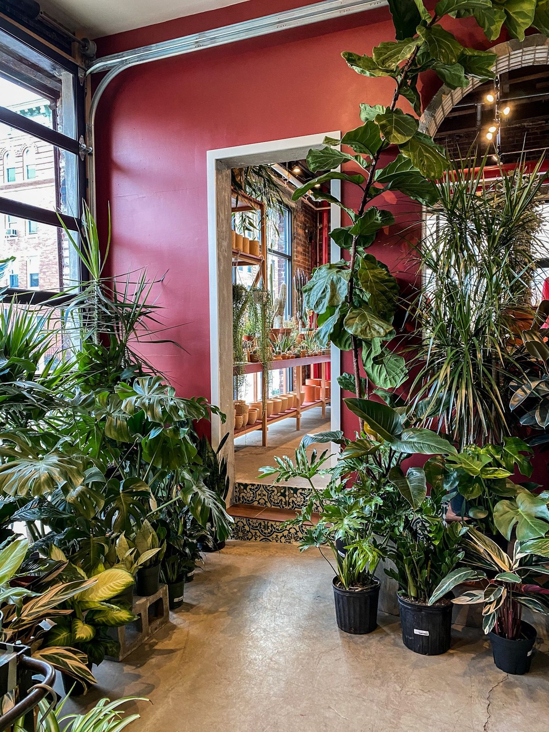 Tula House, Brooklyn