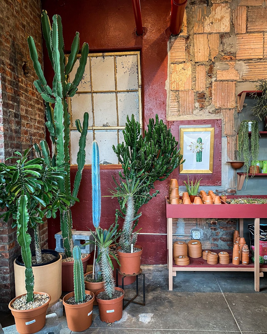 Tula House, Brooklyn