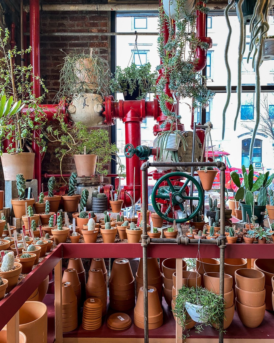 Tula House, Brooklyn