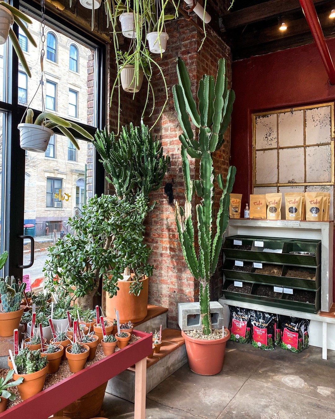 Tula House, Brooklyn