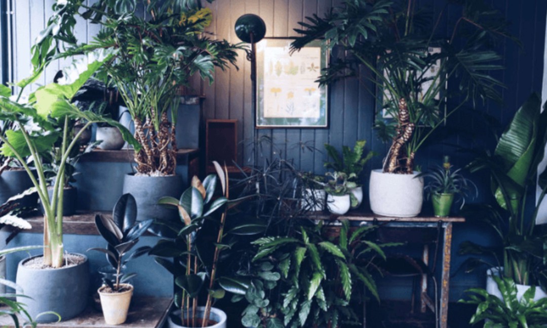 Urban Flower Co, London