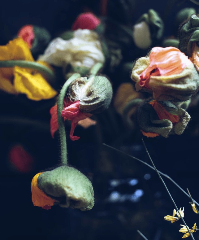 Urban Flower Company