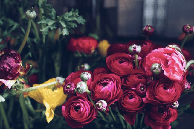 Urban Flower Company