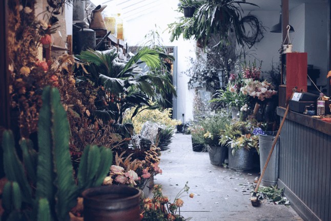 Urban Flower Co, London
