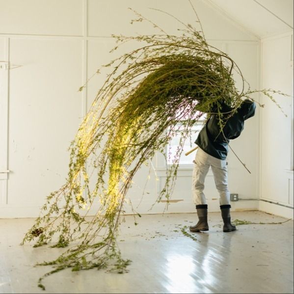 White Flower, North Fork: Nathaniel Savage